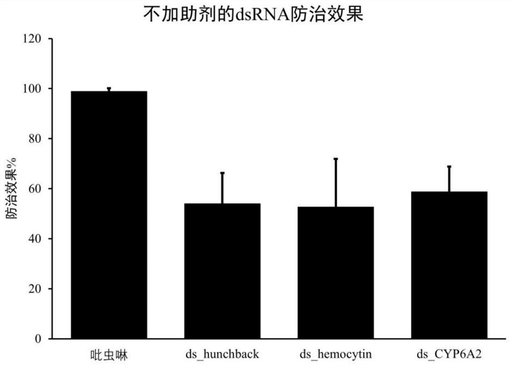 Formula for improving dsRNA insecticidal effect