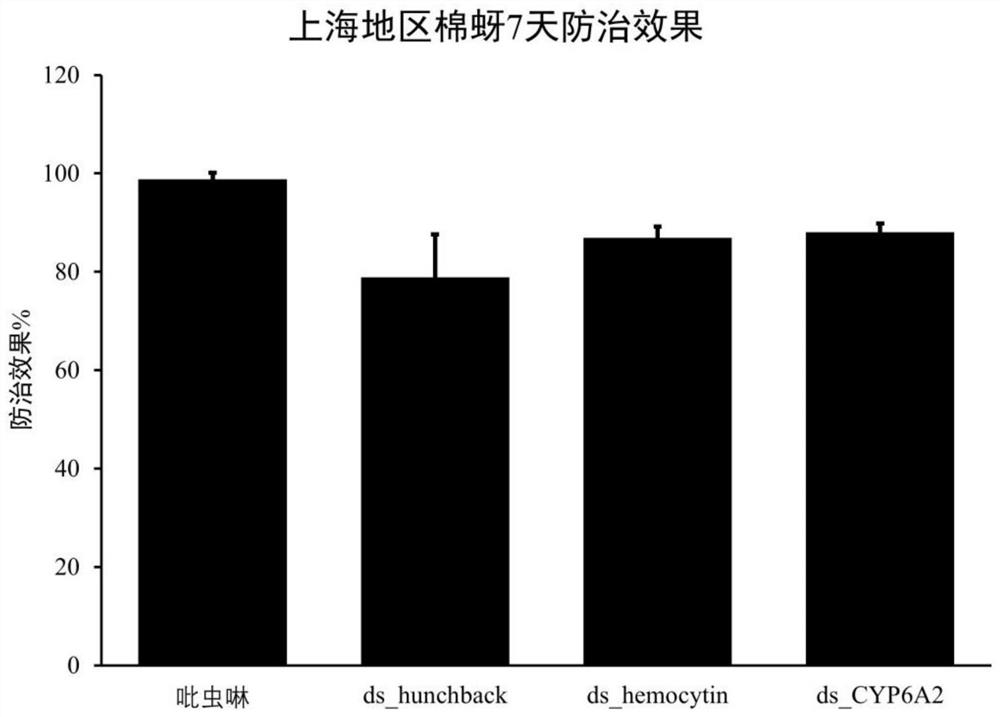 Formula for improving dsRNA insecticidal effect