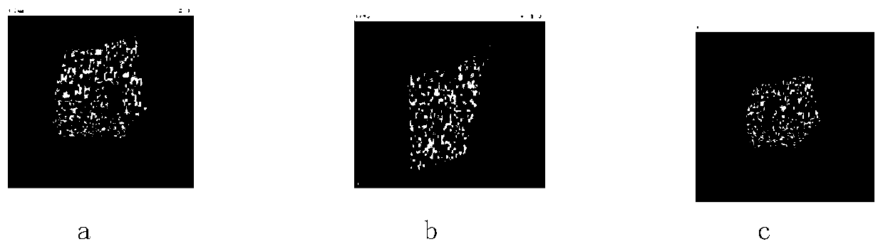 Scene segmentation and target modeling method based on concavo-convex and RSD features