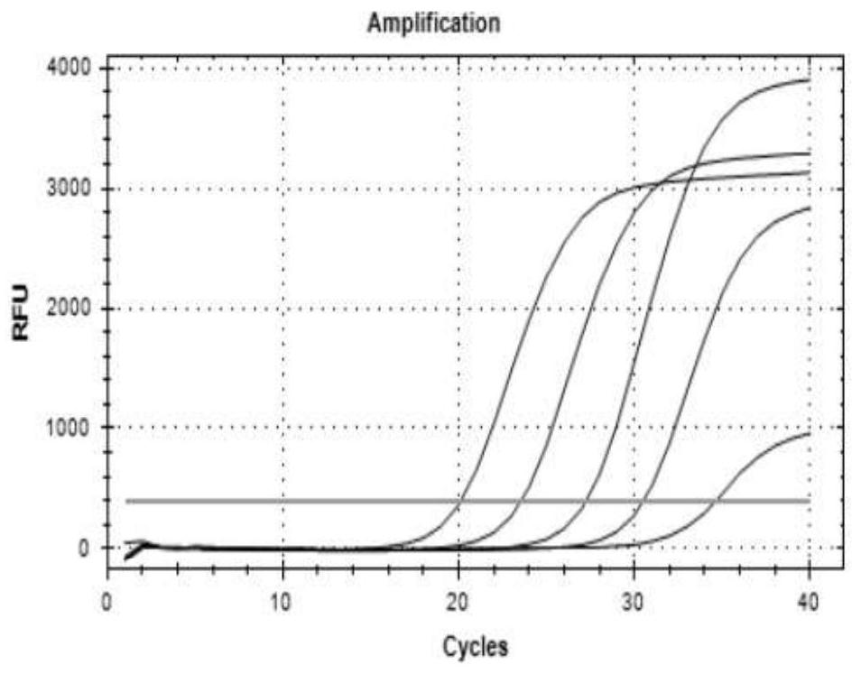 Nucleic acid combination and kit for colorectal cancer gene methylation detection