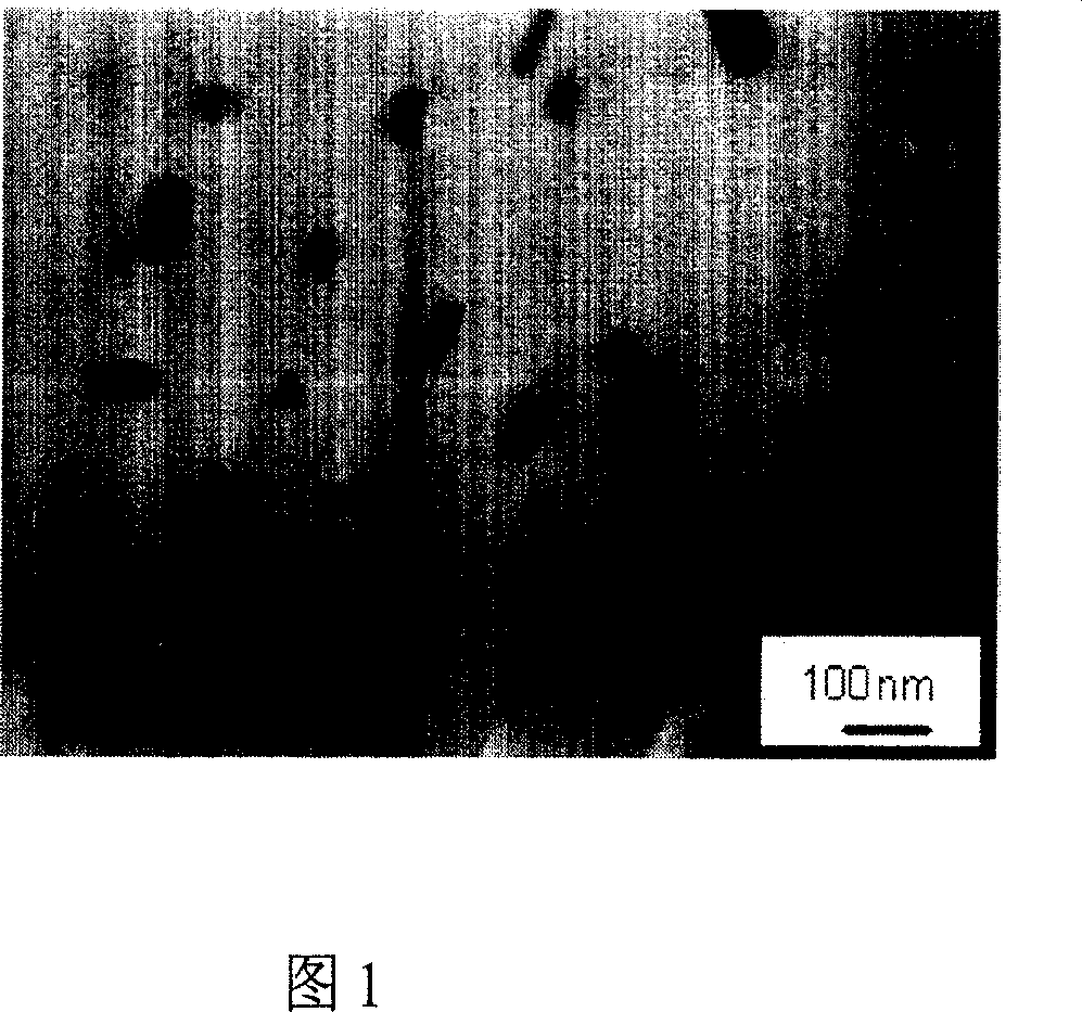 Ferrite stainless steel having excellent antibacterial characteristics