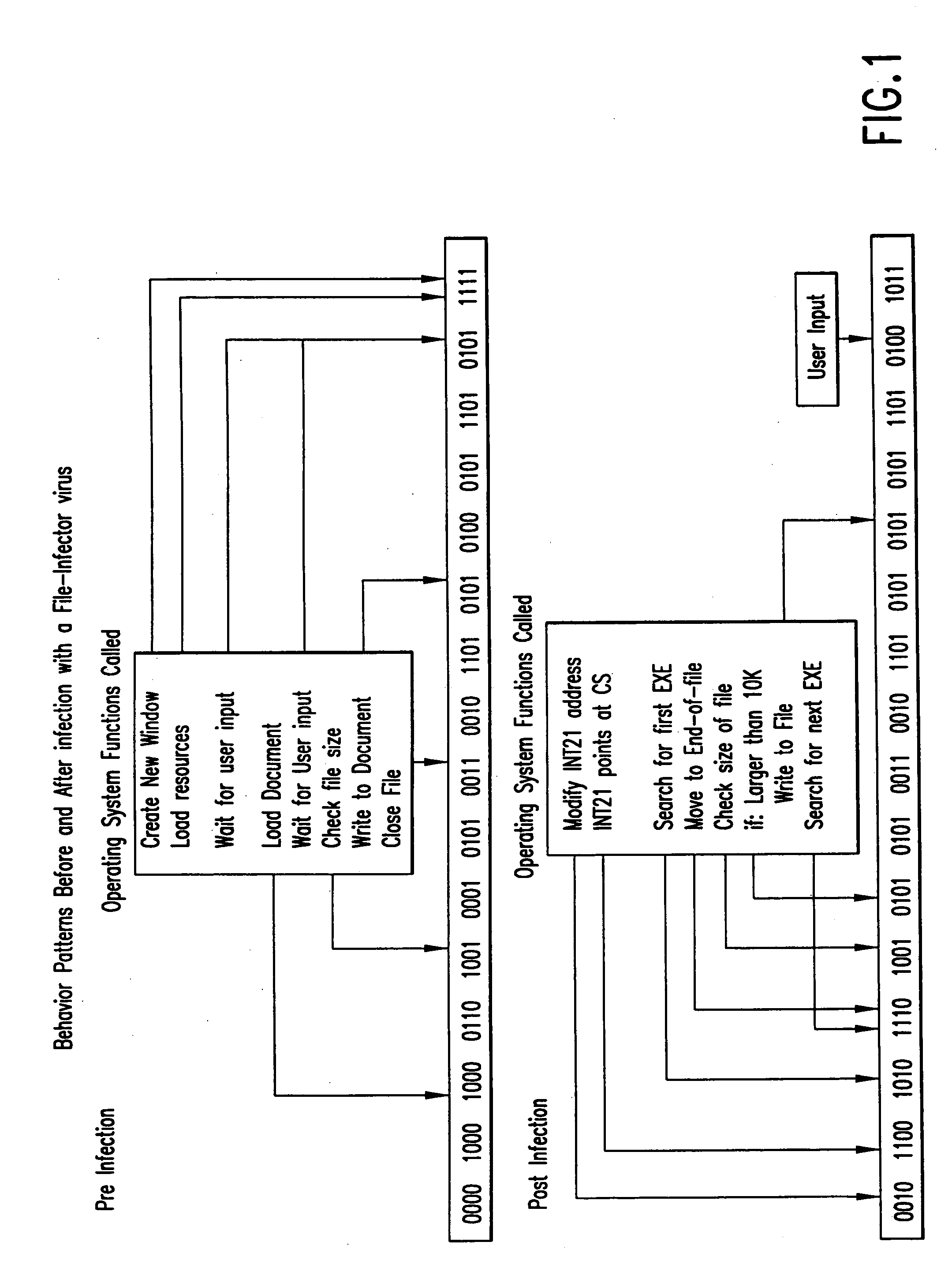 Computer immune system and method for detecting unwanted code in a computer system