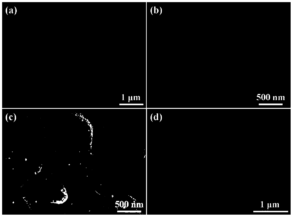 Nitrogen-cobalt-doped hollow carbon nanofiber, preparation method and application thereof and metal-air battery