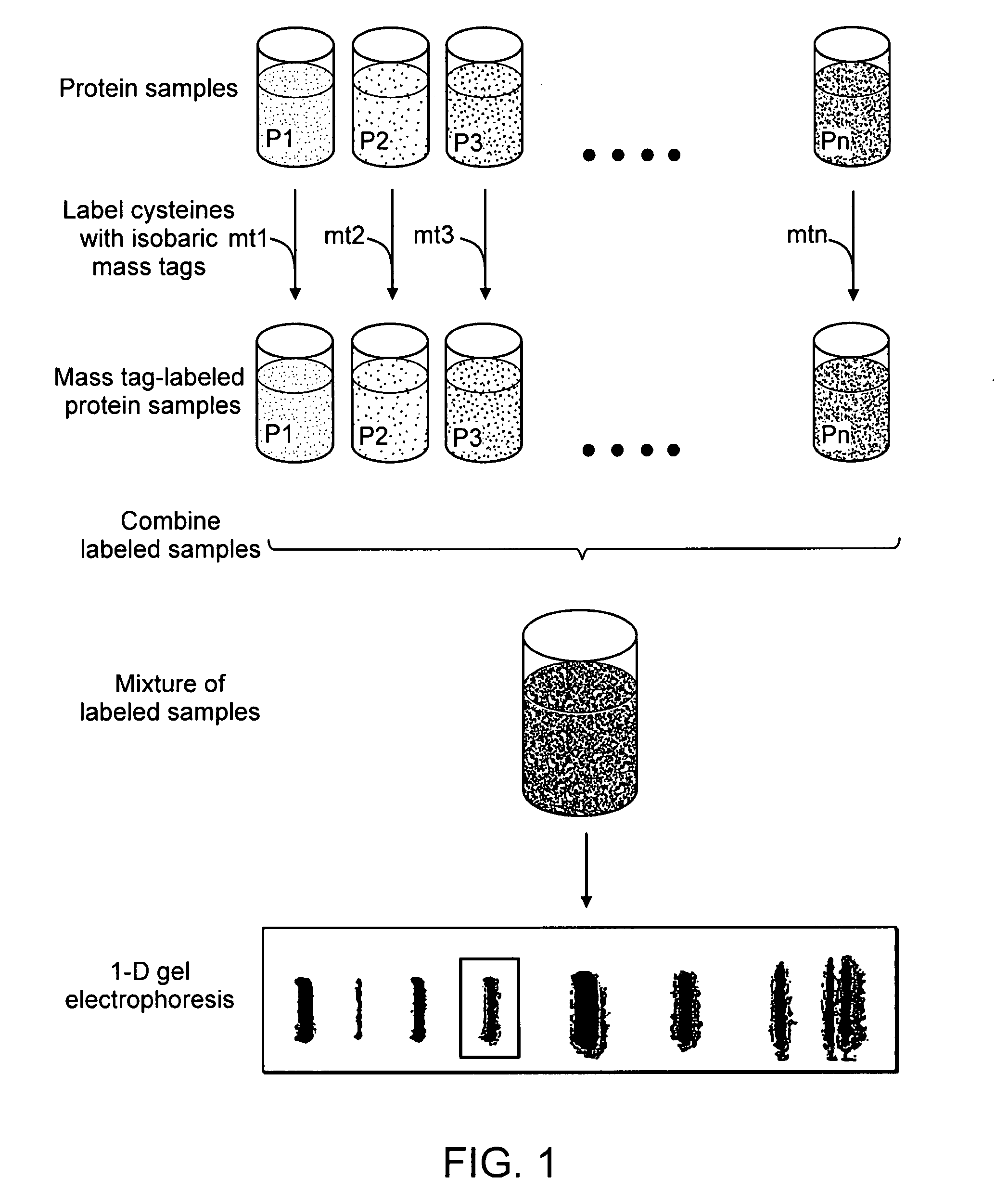 Multiplexed analyte quantitation by two-dimensional planar electrochromatography