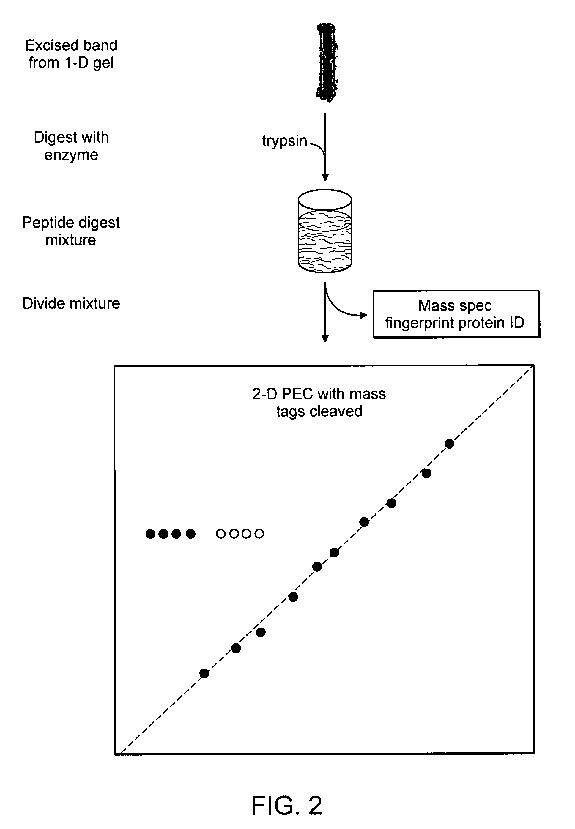 Multiplexed analyte quantitation by two-dimensional planar electrochromatography