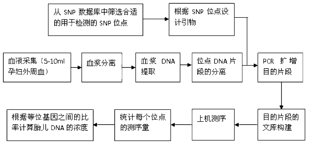 Determination method of fetal DNA content in maternal plasma, based on single-nucleotide polymorphic loci