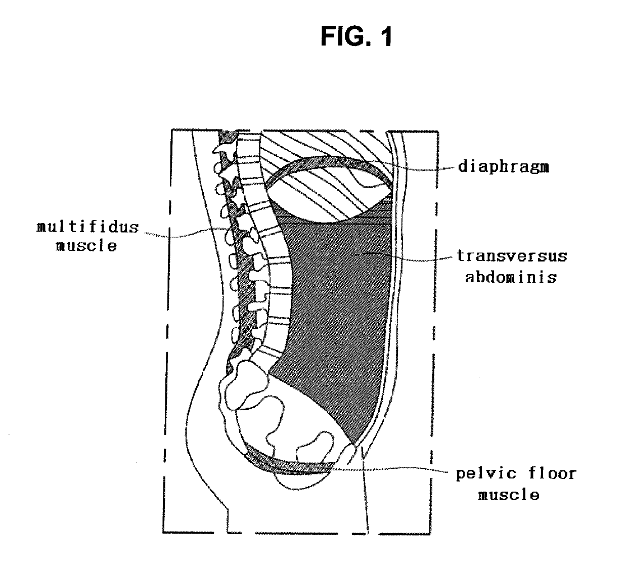 Drive device of electrode channel for strengthening core muscle of abdominal region