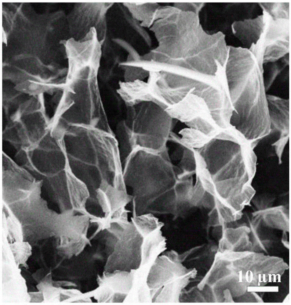 Preparation method and application of a kind of hydrogel electrode