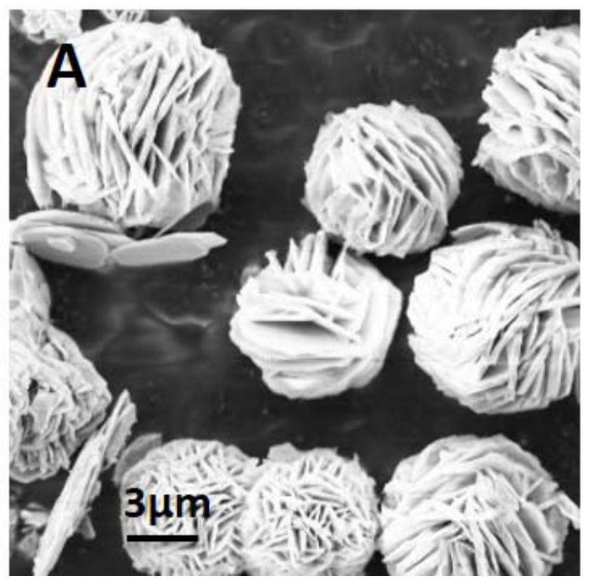 Metal oxide supported noble metal catalyst, preparation method and use