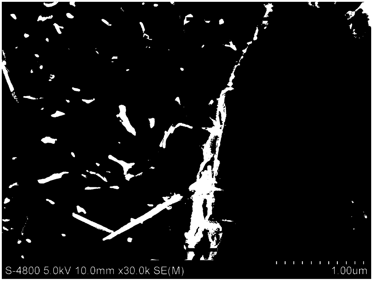 Preparation method of directionally-distributed TiB whisker reinforced titanium-based composite material