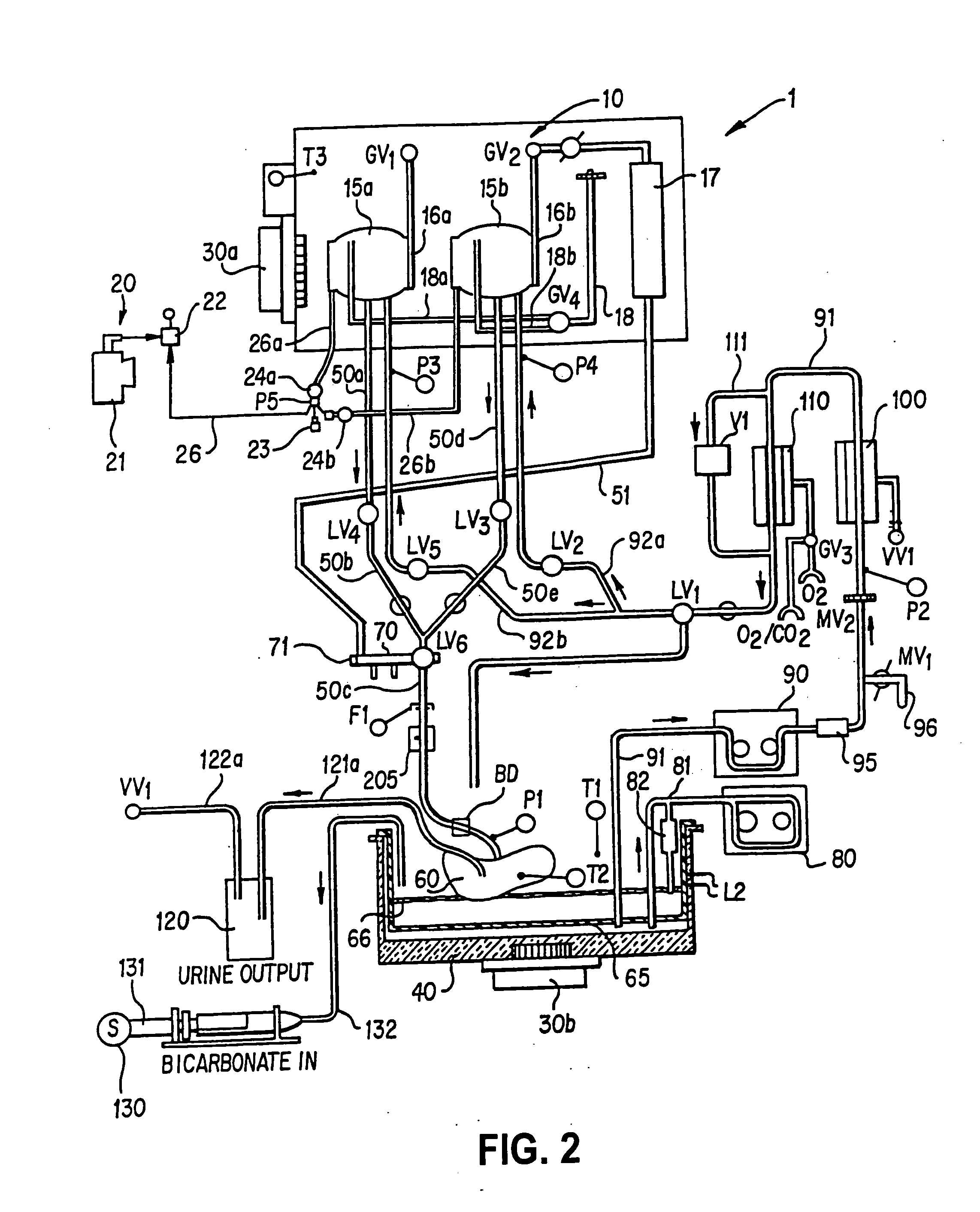 Apparatus and method for maintaining and/or restoring viability of organs