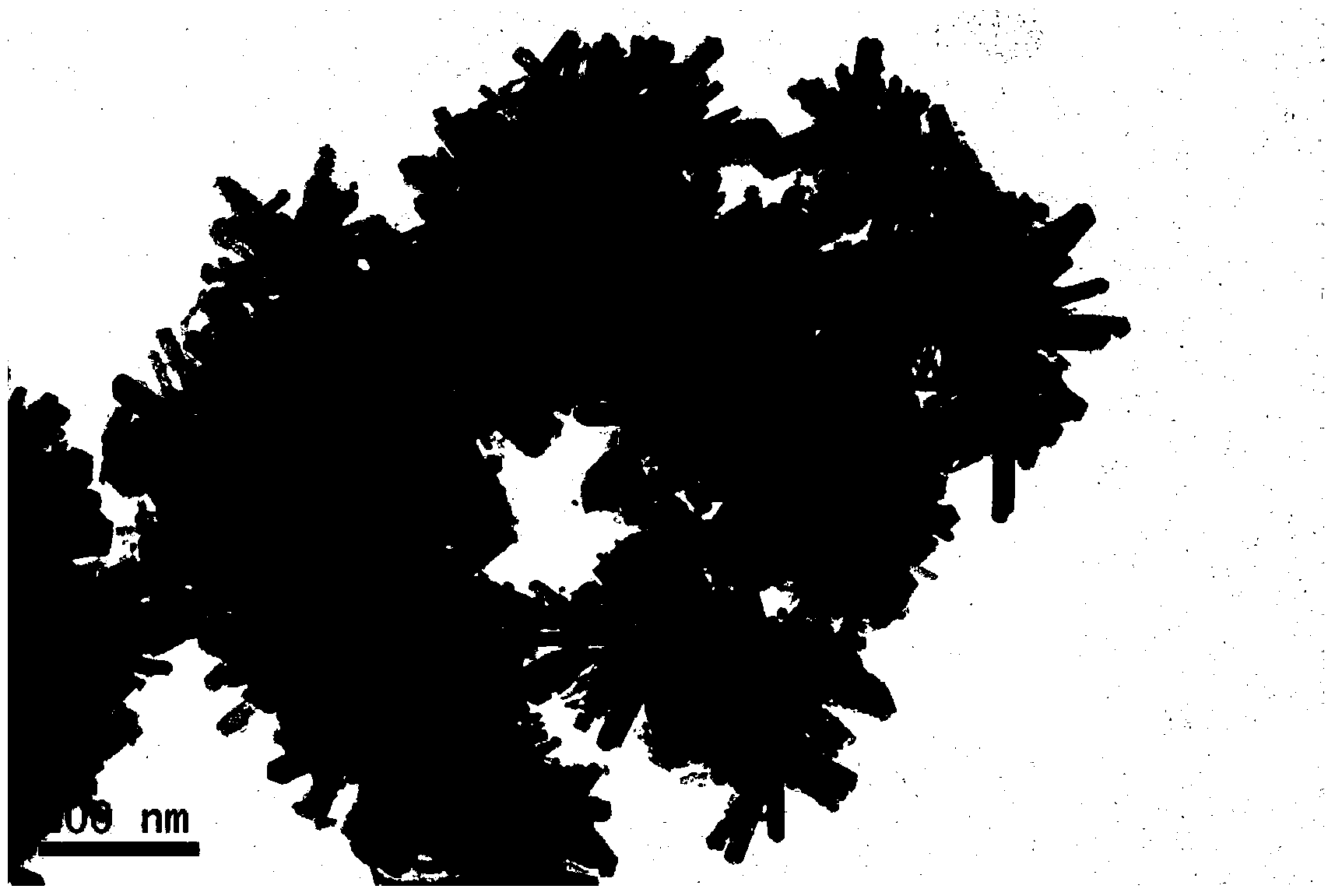 Preparation method of flowery rutile titanium dioxide nanostructure