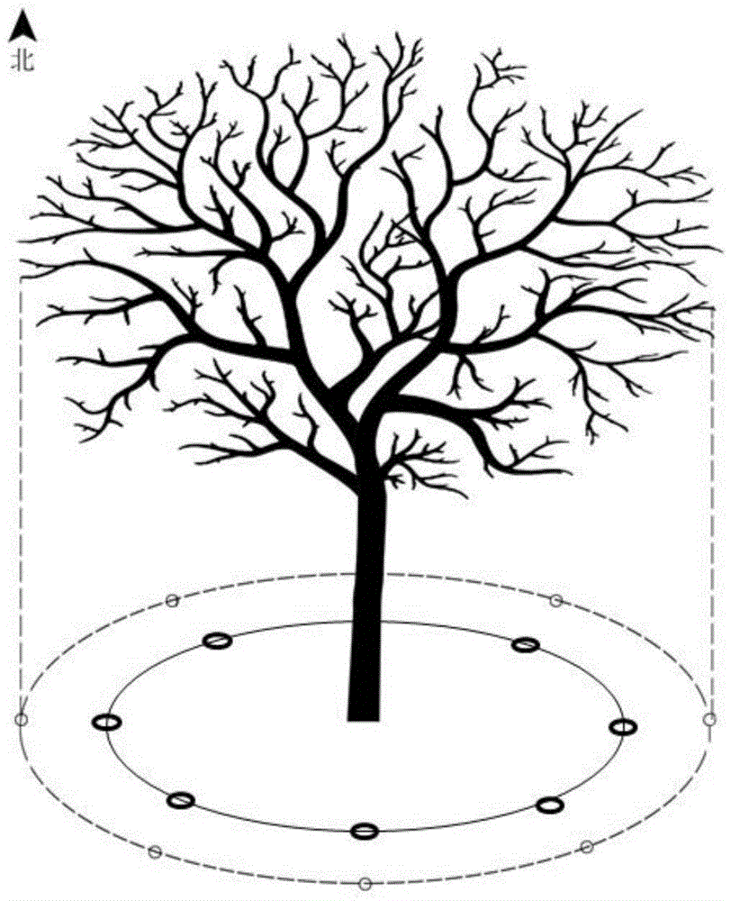 Soil sampling method for testing soil for formulated fertilization of apricot trees