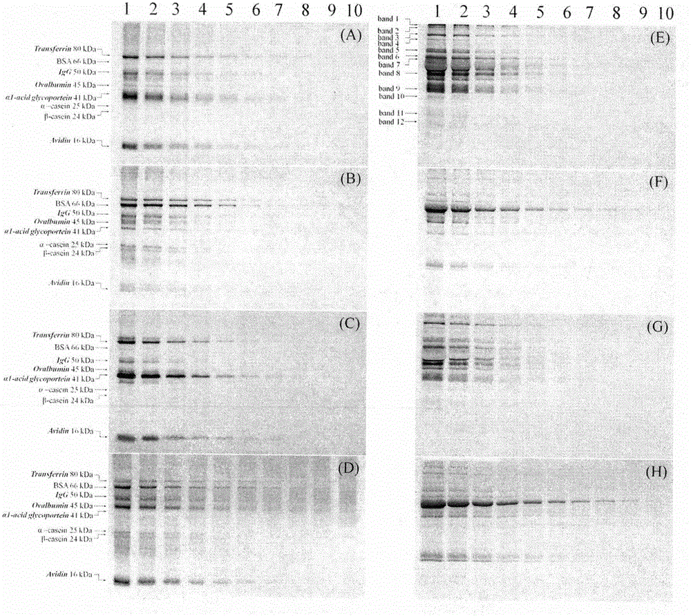 Synthesis of 1-pyrenyl-carbohydrazide and application of derivative of 1-pyrenyl-carbohydrazide in specific pre-staining detection method of glycoprotein