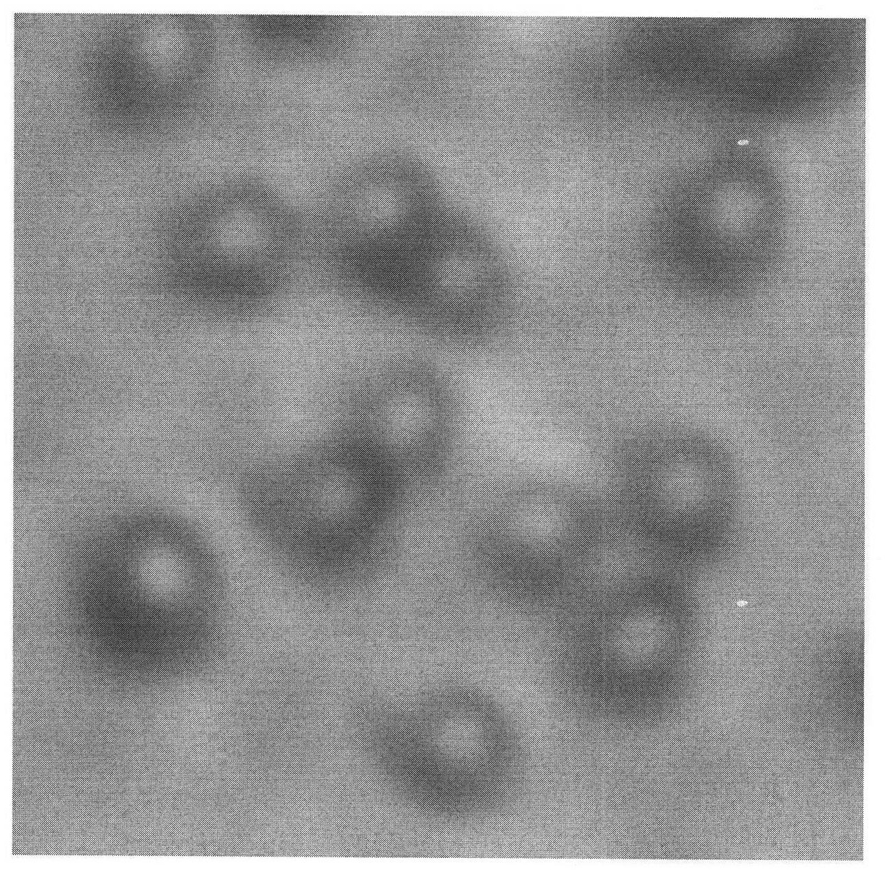 Bacillus simplex RJGP41 and application thereof