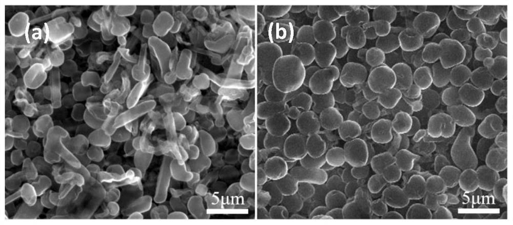 Preparation method and application of metal current collector with micro-pit array