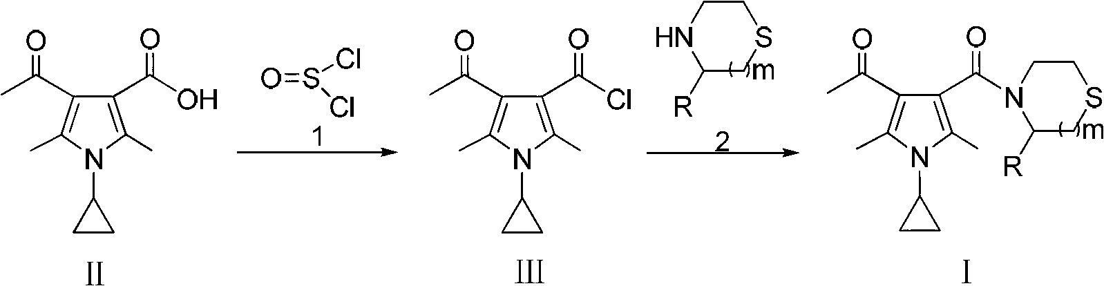 Thiomorpholine-containing pyrrole derivatives and their preparation method and use