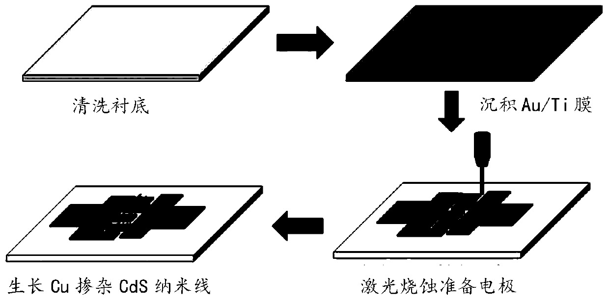 Photoelectric sensor based on copper-doped cadmium sulfide nanowires and preparation method of photoelectric sensor