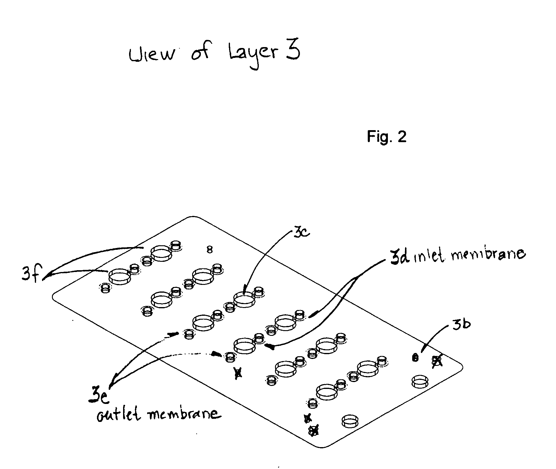 Controlled flow microfluidic device and method of fabrication