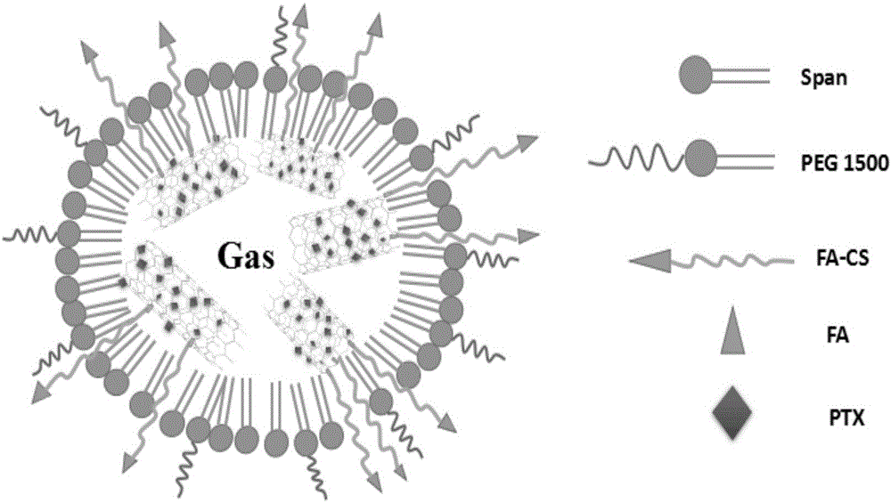 Targeted drug-carried nanoscale ultrasound microbubble and preparation method thereof