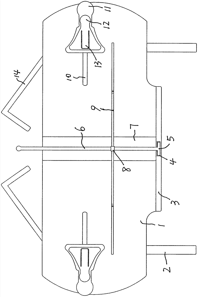 Novel reading frame