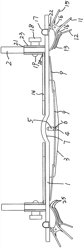 Novel reading frame