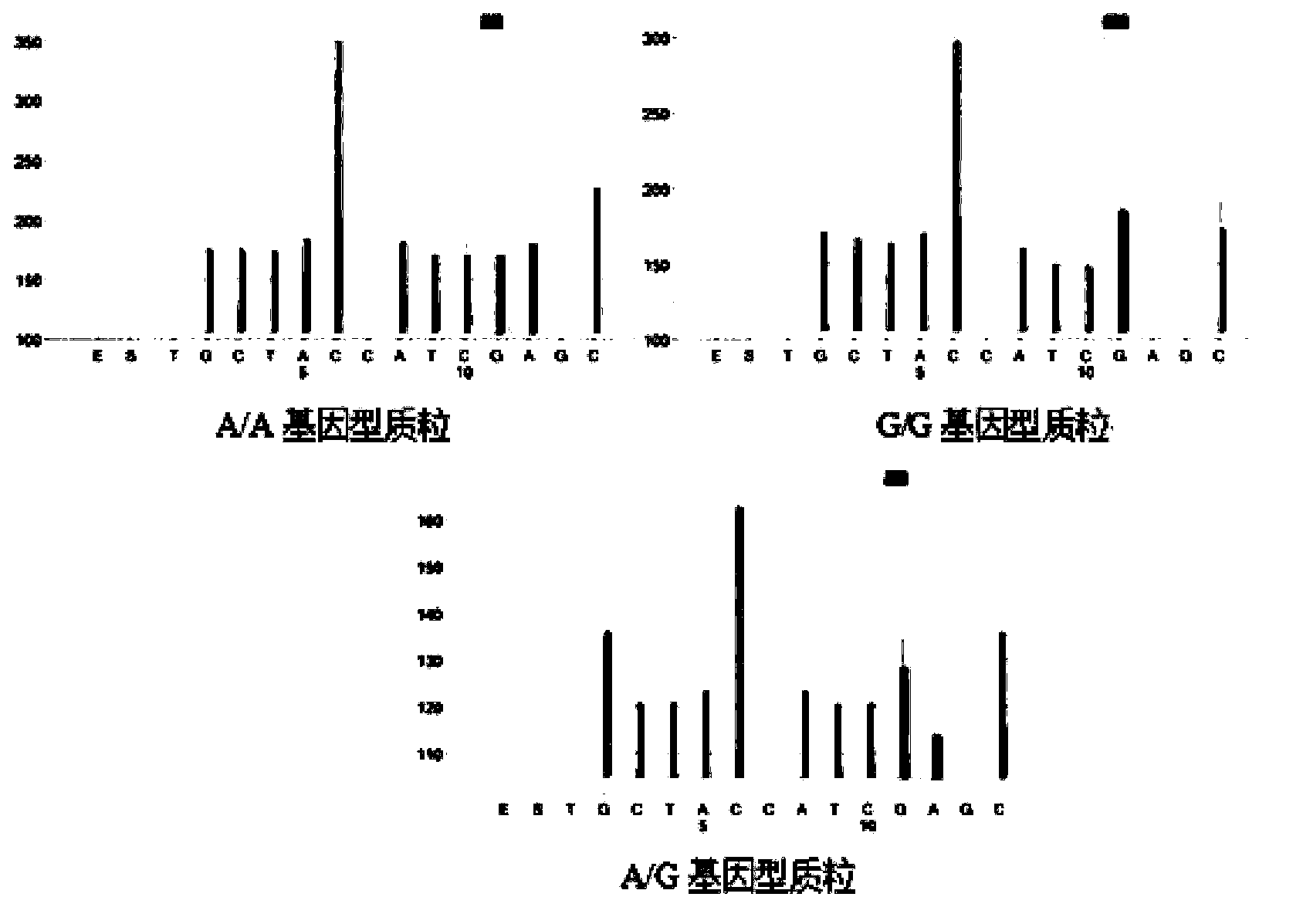 Pyrosequencing detection method for dairy cow leukocyte adhesion deficiency