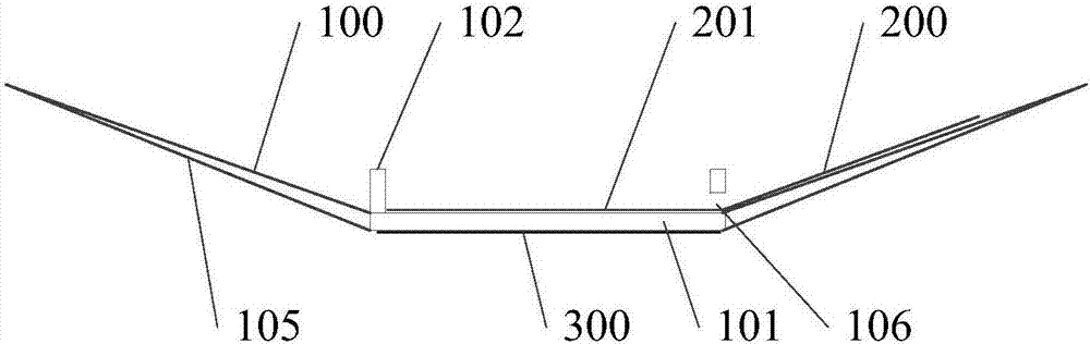 Rapid detection apparatus and detection method for residual organic pesticides in agricultural products