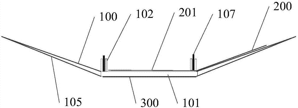 Rapid detection apparatus and detection method for residual organic pesticides in agricultural products