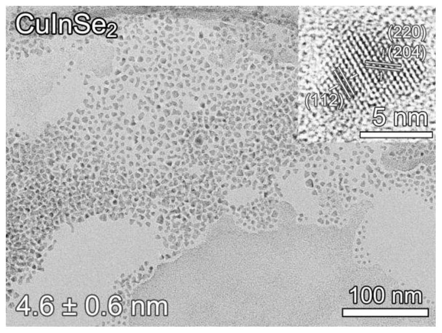 Near-infrared luminous magnetic quantum dot as well as preparation method and application thereof