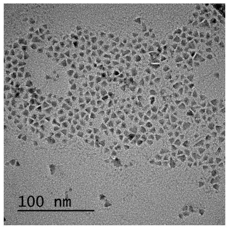 Near-infrared luminous magnetic quantum dot as well as preparation method and application thereof