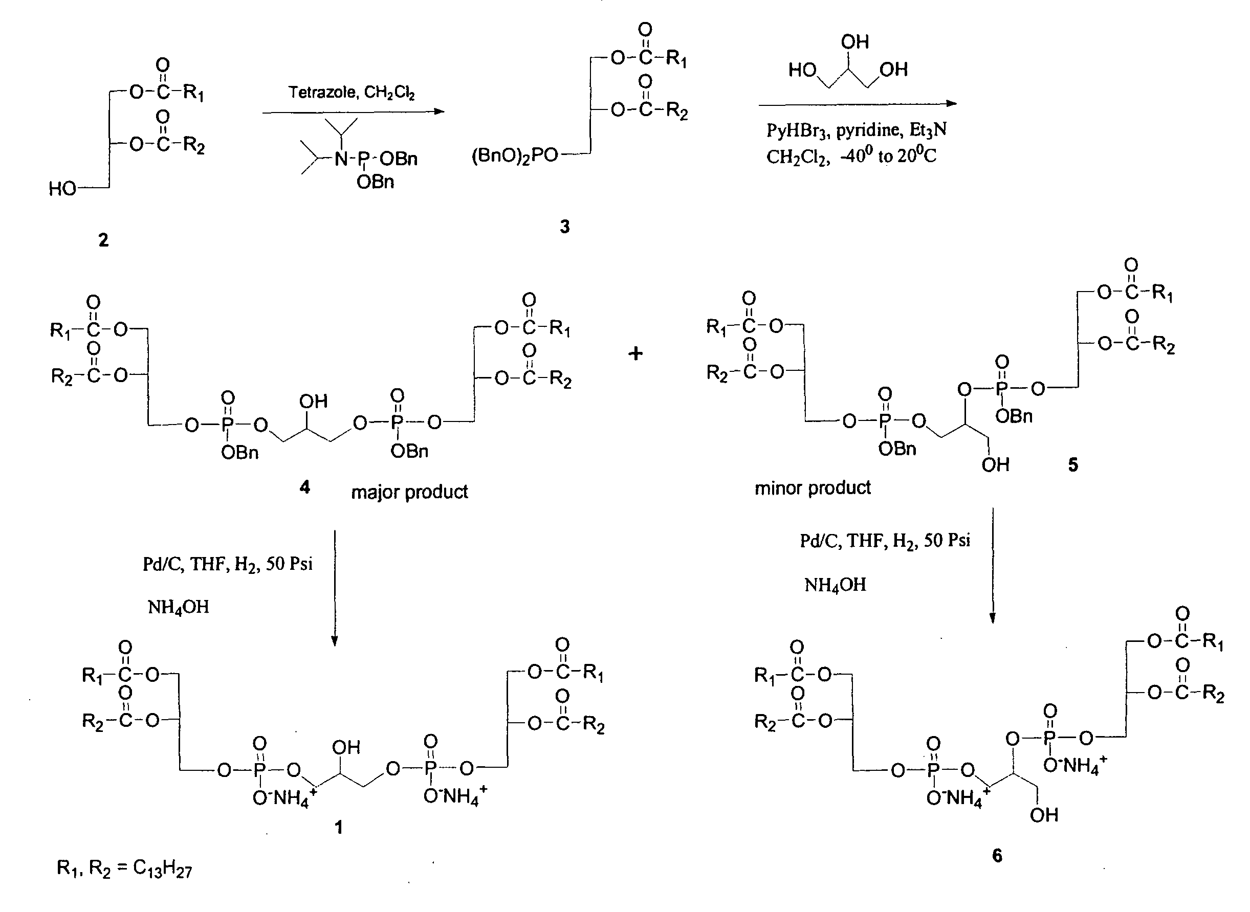 Synthesis of Cardiolipin Analogues and Uses Thereof