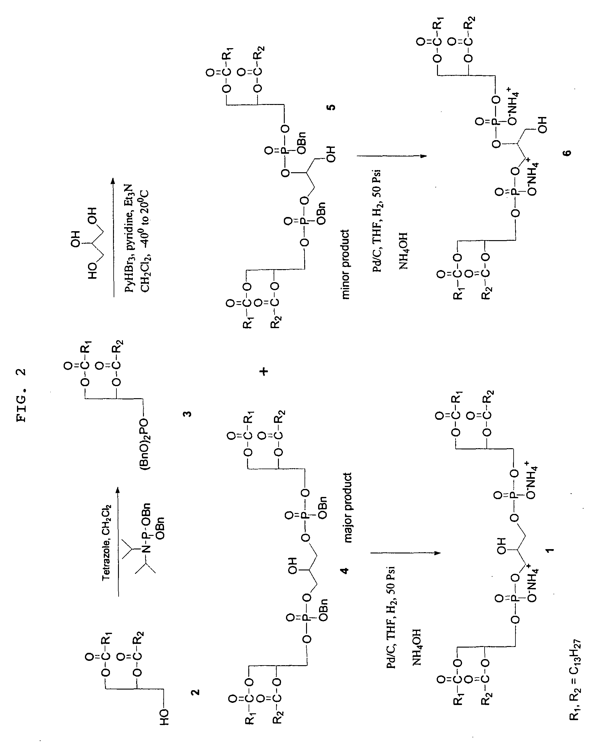 Synthesis of Cardiolipin Analogues and Uses Thereof