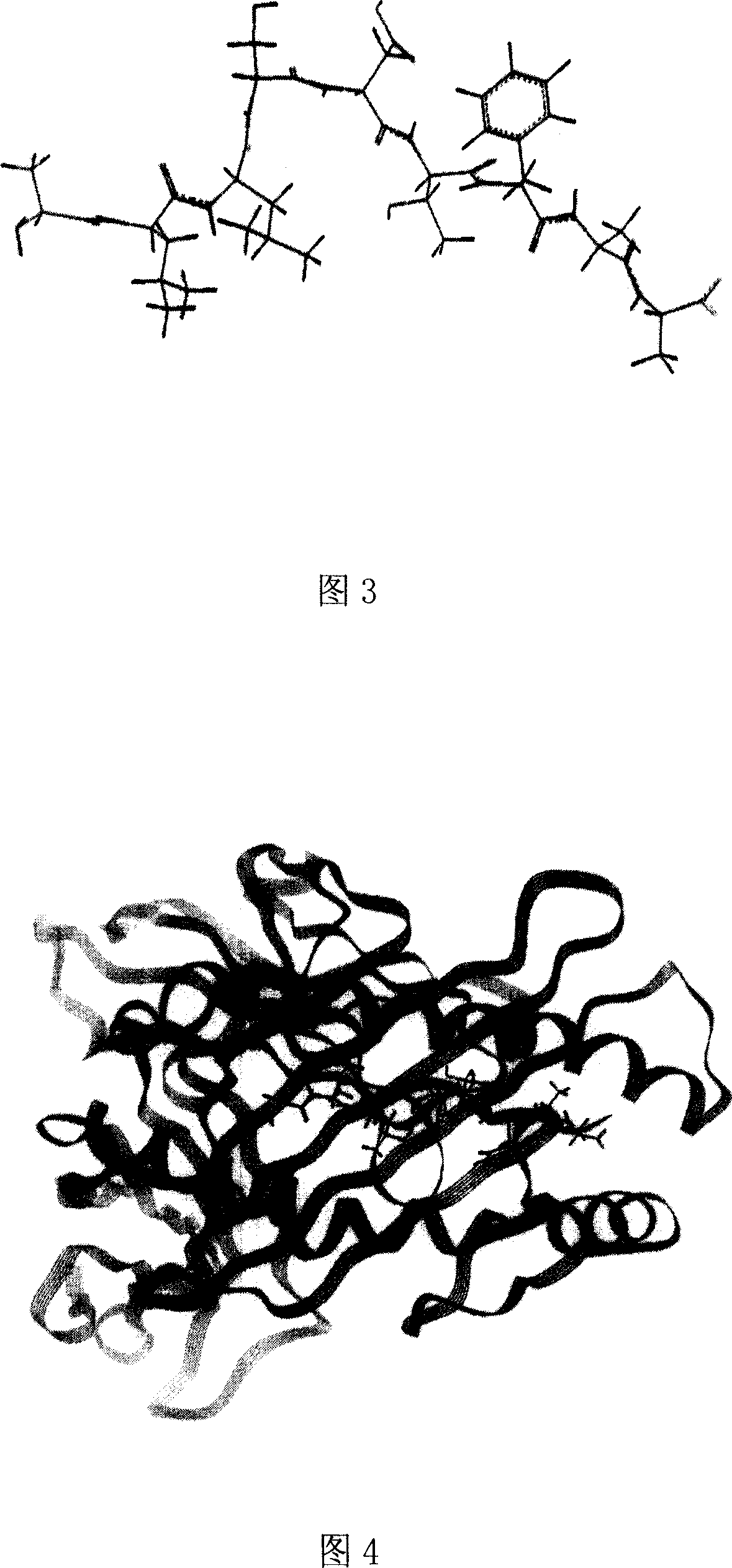 Heparinase polypeptide epitope combined to molecules in human MIIC -I category