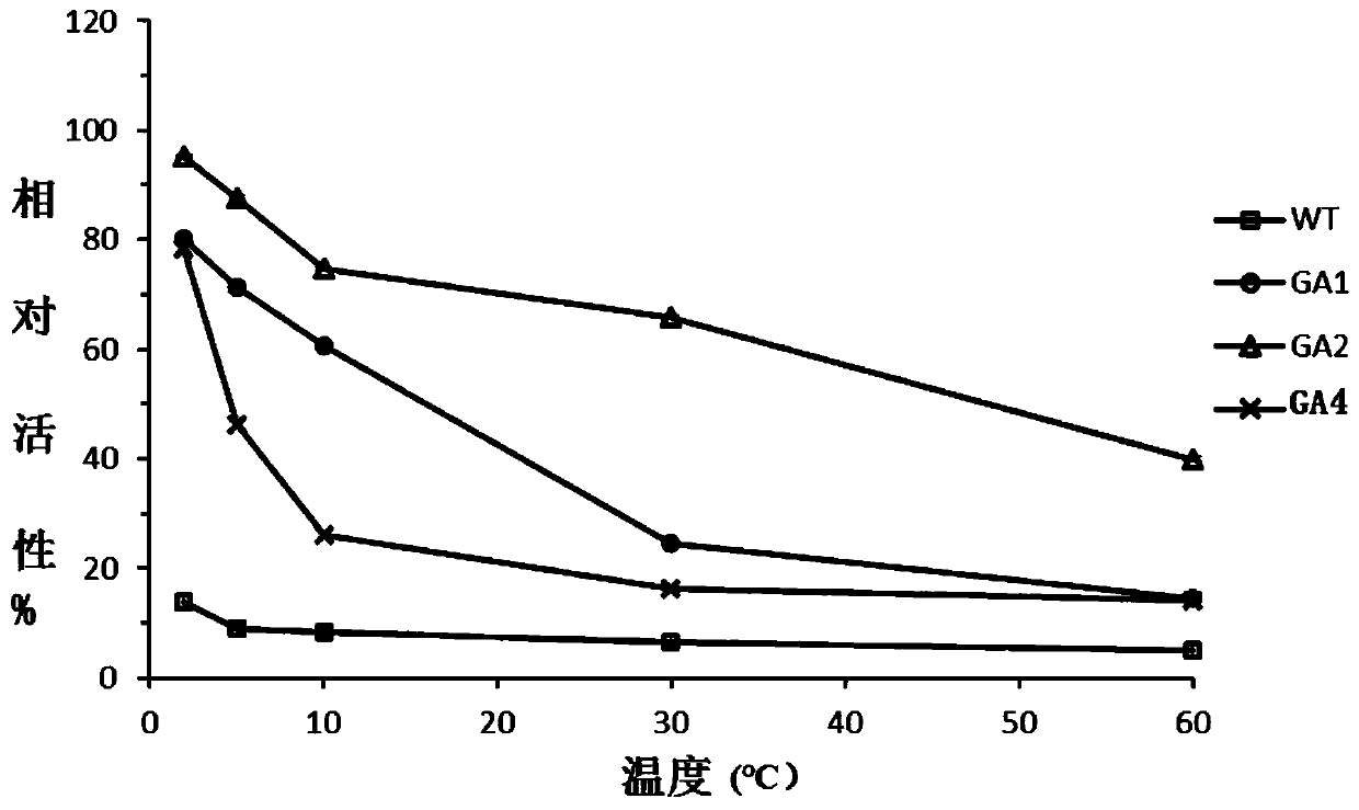 Glucoamylase mutants GA1, GA2 and GA4 with improved specific activity and thermal stability, and genes and applications of glucoamylase mutants