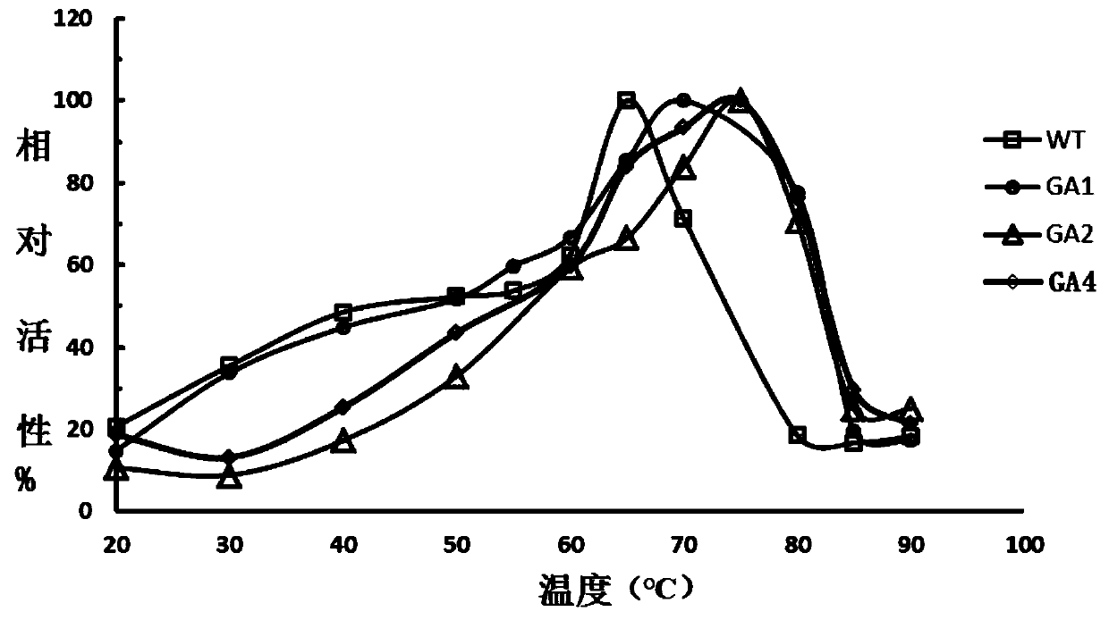 Glucoamylase mutants GA1, GA2 and GA4 with improved specific activity and thermal stability, and genes and applications of glucoamylase mutants