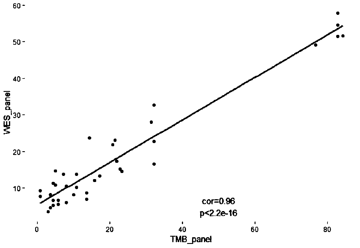 System capable of simultaneously detecting tumor targeting therapy related target spots and immunotherapy related TMB and MSI