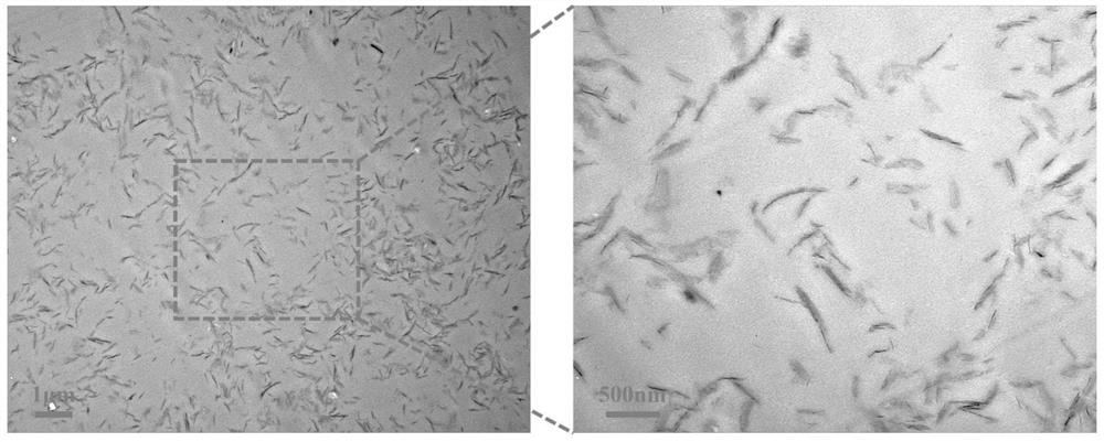 Photo-thermal driven shape memory nano composite material as well as preparation method and application thereof