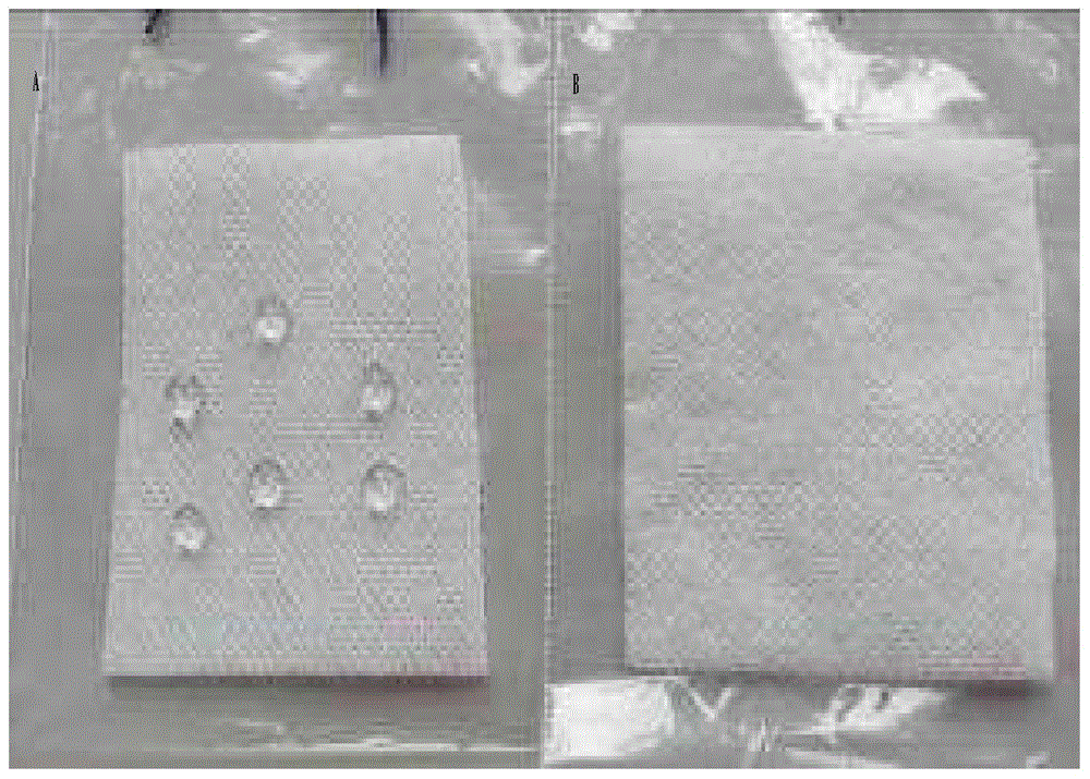 Product with coating and preparation method thereof