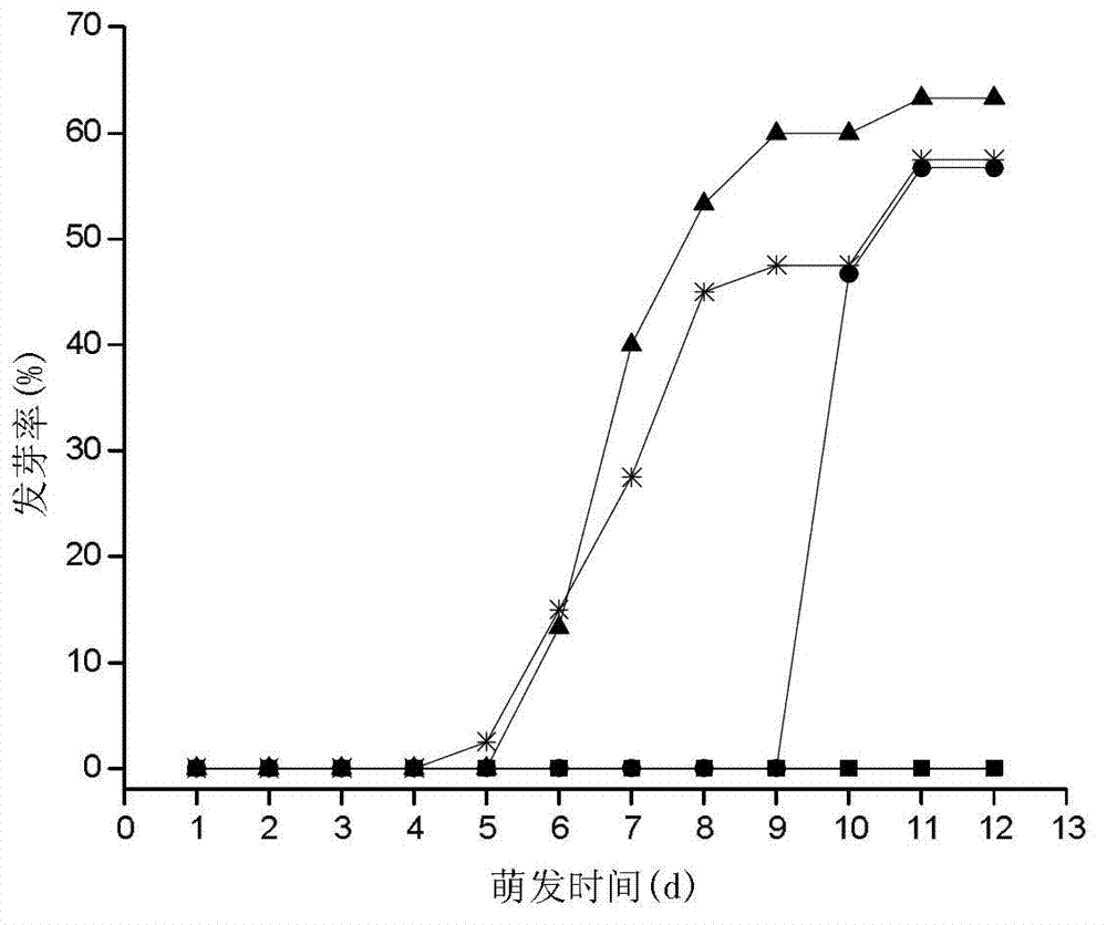 Method for improving seed germination of solanum nigrum