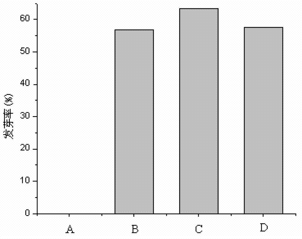 Method for improving seed germination of solanum nigrum