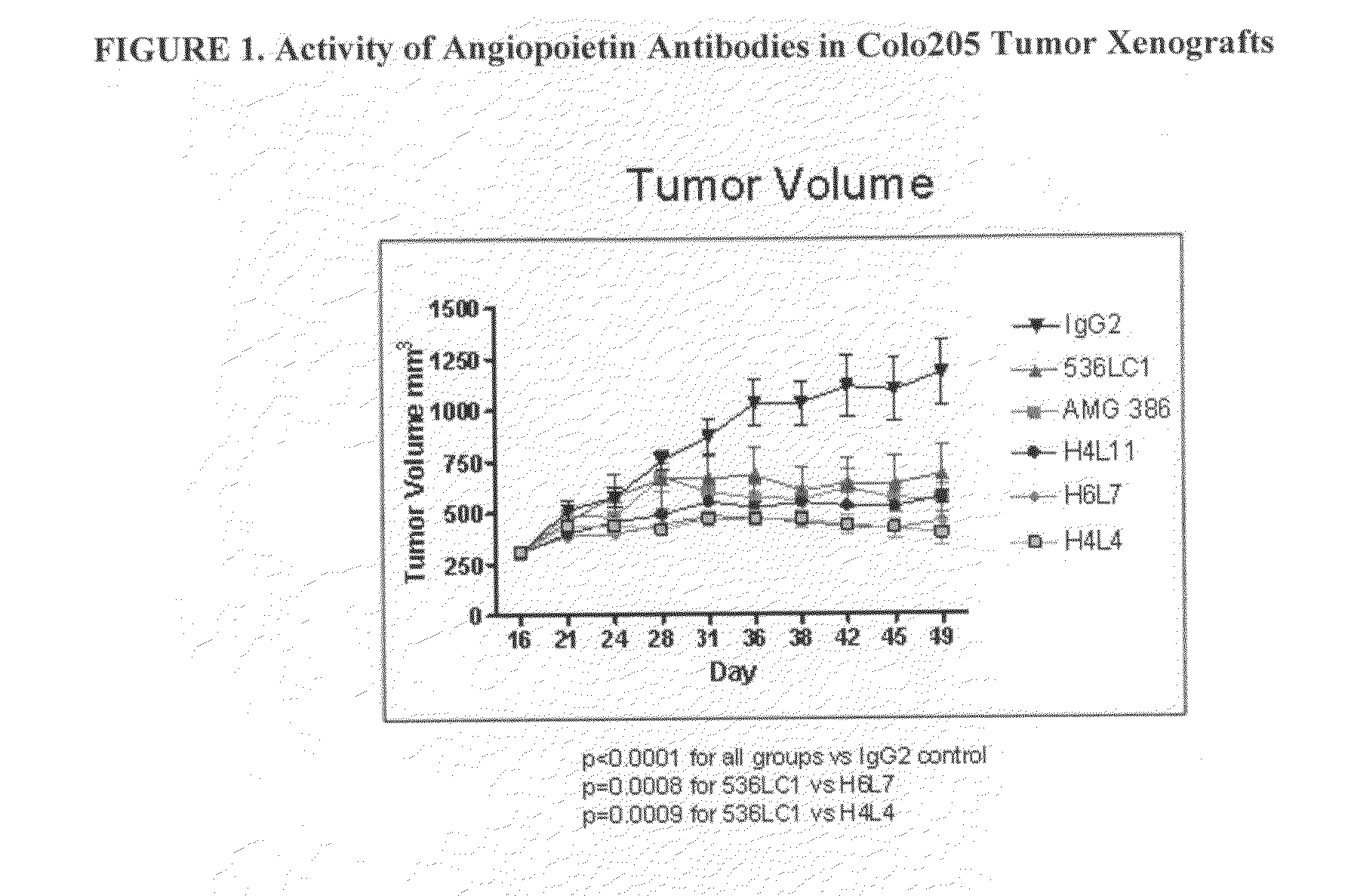 Antibodies directed to angiopoietin-1 and angiopoietin-2 and uses thereof