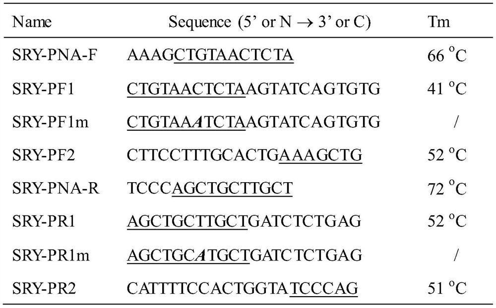 Method for improving PNA-based PCR inhibition efficiency, and application