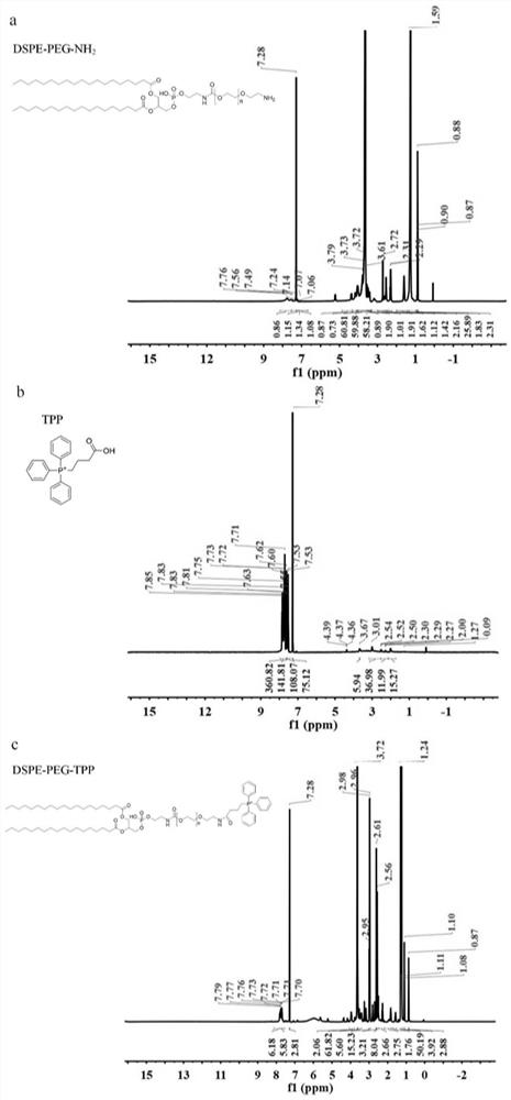 Synthesis method of mitochondria-targeting nano triphenylphosphine MoS2 quantum dots