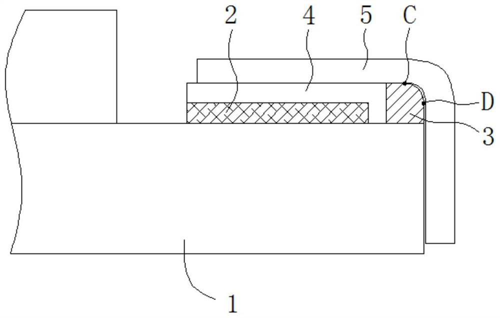 Display panel and spliced screen