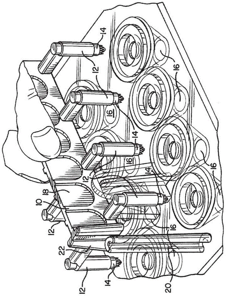 Allergy testing device and method of testing for allergies