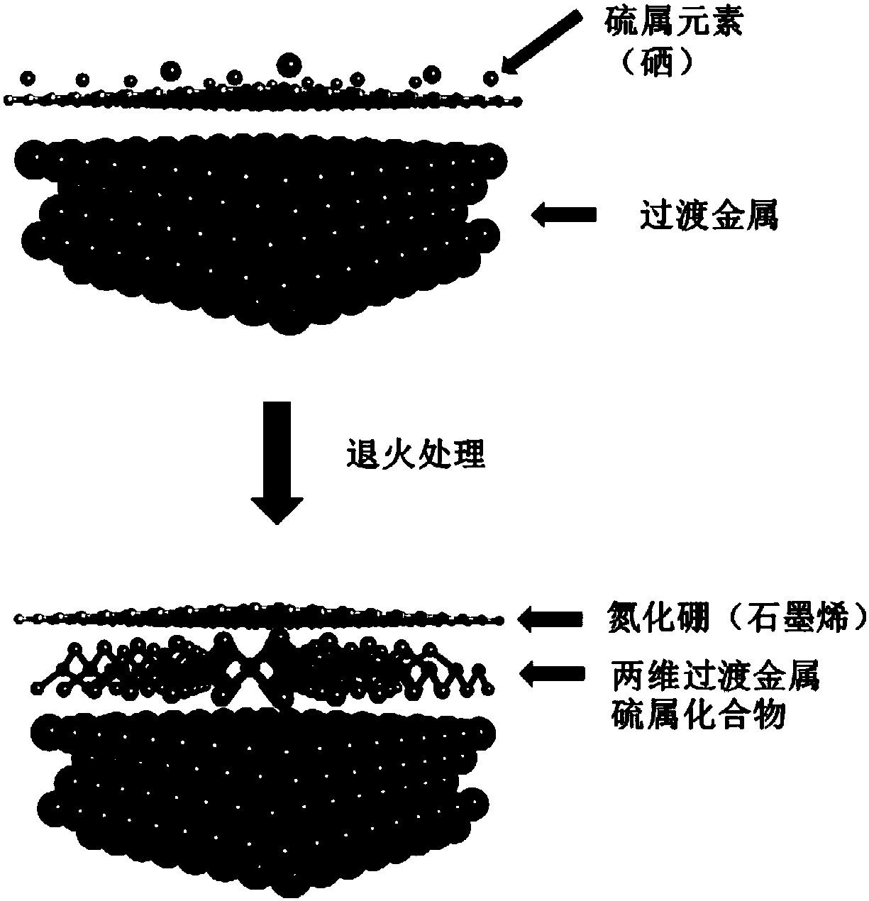 Preparation method of transition metal chalcogenides and boron nitride or graphene heterojunction