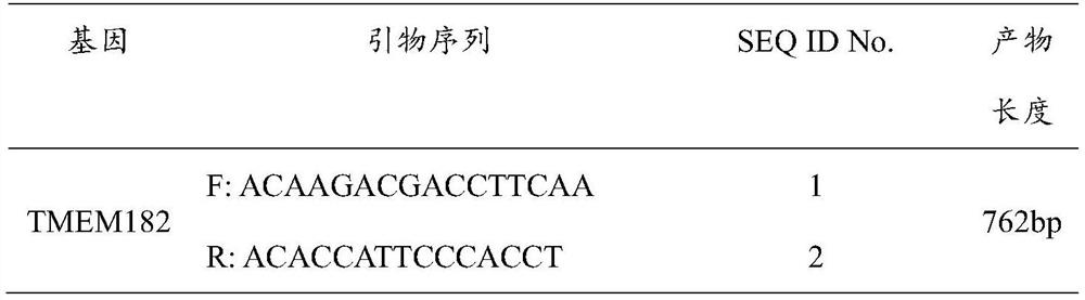 SNP molecular marker related to broiler chicken weight and shin length character, and application of SNP molecular marker