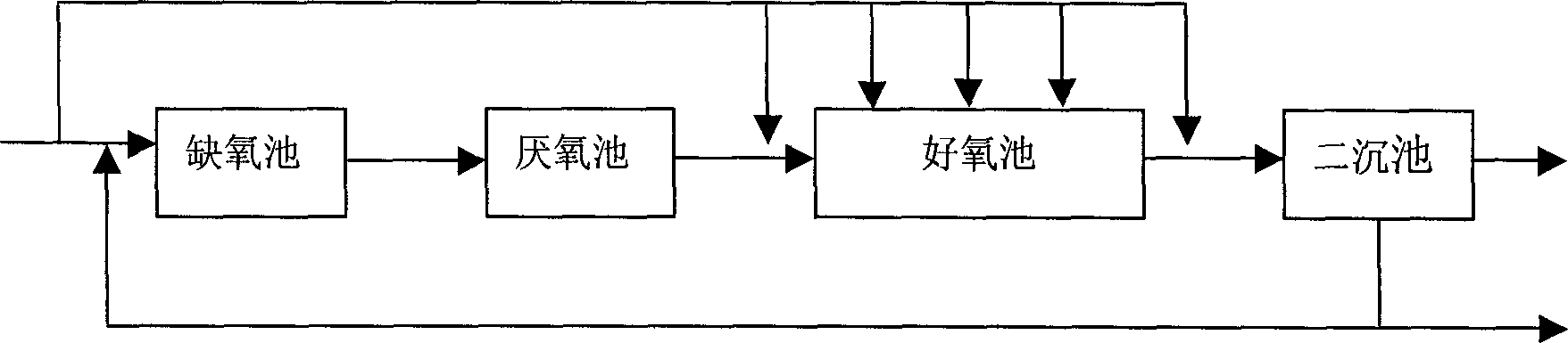 High efficiency nitrification process of biological sewage treatment