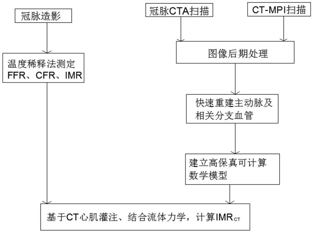 Coronary artery microcirculation detection and coronary artery analysis system